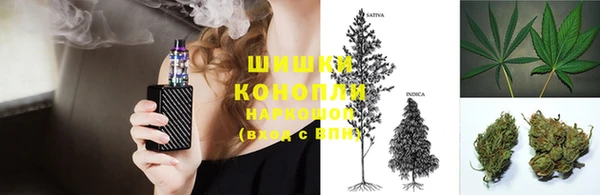 шишки Армянск