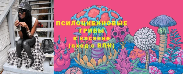 PSILOCYBIN Аркадак