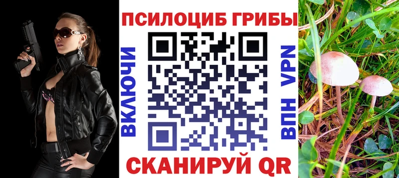 Галлюциногенные грибы GOLDEN TEACHER  кракен вход  даркнет клад  Пошехонье 